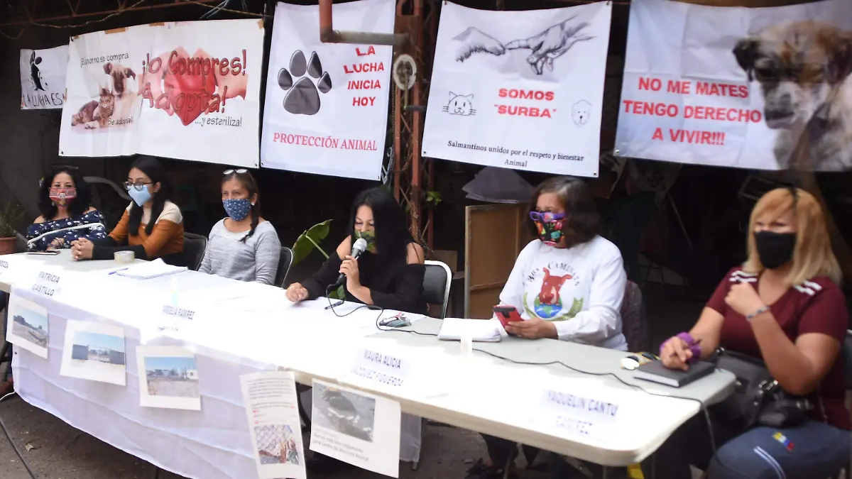 Animalistas piden al Gobierno Municipal 2